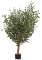 Olive tree, approx. 160cm green, natural trunk in plastic pot 17x14.5cm
