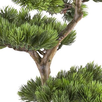 Bonsai pine approx. 125x50cm, green, in plastic pot 19x17cm black