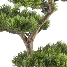 Bonsai pine approx. 125x50cm, green, in plastic pot 19x17cm black