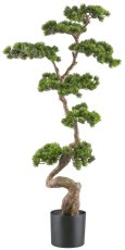 Bonsai pine approx. 125x50cm, green, in plastic pot 19x17cm black