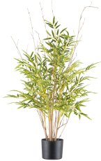 Miniblatt-Bambus x6, ca 90cm, 760 Blätter, Naturstamm im Kunststofftopf 15x13cm