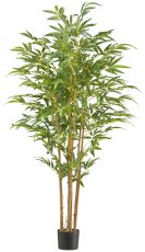 Bambus x7, 180cm, 830 Blätter Naturstamm, UV-beständig im Kunststofftopf 18x15cm