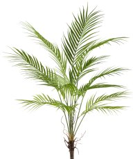 Areca palm x13, 95cm, plastic, green (without pot)
