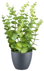 Eucalyptus x9, 27cm, plastic, green in plastic pot 9x8cm