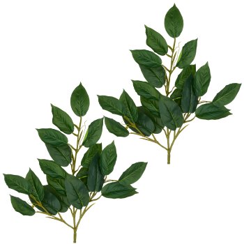Ficus branch x3, 21 leaves, 66cm, green