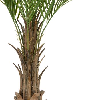 Phoenix palm x12, 120cm, green, in plastic pot 17x14.5cm, UV-resistant