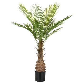 Phoenix palm x12, 120cm, green, in plastic pot 17x14.5cm, UV-resistant