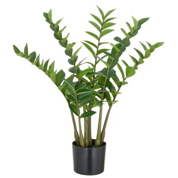 Zamifolia x7, 116 PEVA leaves, 70cm, green, in pot Ø15x13cm