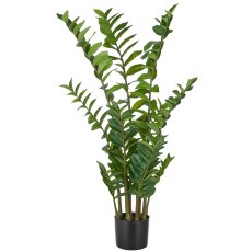 Zamifolia x11, 220 Bl. aus PEVA, 110cm, grün, im Topf Ø17x14,5cm