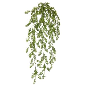 Sedum Hänger x7, 80cm, grün, Kunststoff
