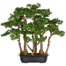 Bonsai Teeblatt x7, 60x60cm, grün, in schwarzer Kunststoffschale 33x23x8cm