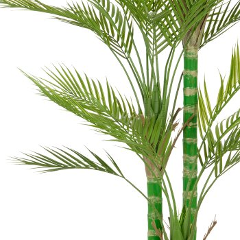 Areca palm x3, approx. 180cm, green, in plastic pot 17x14.5cm, UV-resistant