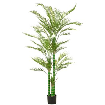 Areca palm x3, approx. 180cm, green, in plastic pot 17x14.5cm, UV-resistant