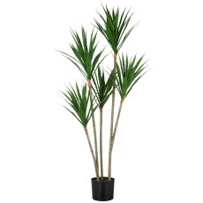 Agave x5, approx. 120cm, green, in plastic pot 15x13cm, UV-resistant