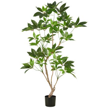 Indoor aralia, approx. 150cm, green, in plastic pot 17x15cm, n.d.p.