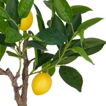 Lemon tree, 48cm, 3 fruits, in plastic pot 11.5x10.5cm with soil