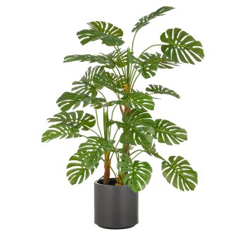 Split Philodendron x3, 29 Bl., 100cm, grün, im grauen Kunststofftopf 21,5x21,5cm