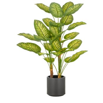Dieffenbachia x3, 29 leaves, 100cm, green, in grey plastic pot 21.5x21.5cm