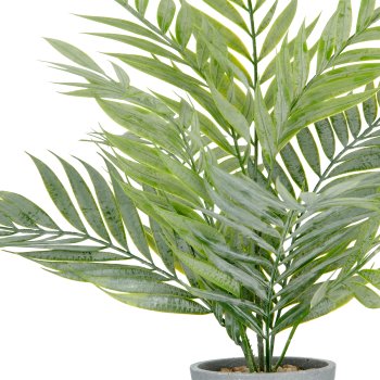 Areca palm x9, approx. 53cm, green-grey, in grey melamine pot 11x10.5cm with gravel