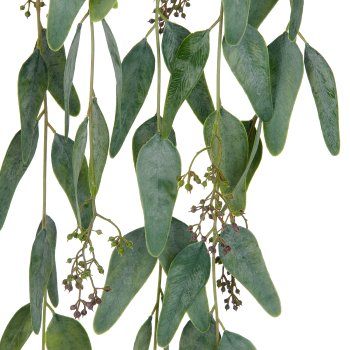 Eukalyptushänger x5 mit Früchten, 115cm, grüngrau