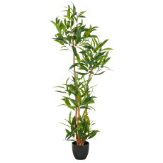 Ficus maclellandii x4, 150cm, green, in plastic pot 18x16.5cm with soil