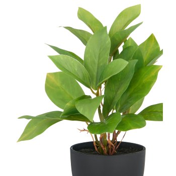 Epipremnum x27 leaves, approx. 24cm, plastic, green, in plastic pot 9x8cm with soil