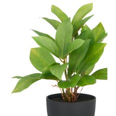 Epipremnum x27 leaves, approx. 24cm, plastic, green, in plastic pot 9x8cm with soil