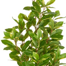Epipremnum aureum, approx 90cm, green, plastic, in plastic pot 14x13cm with soil