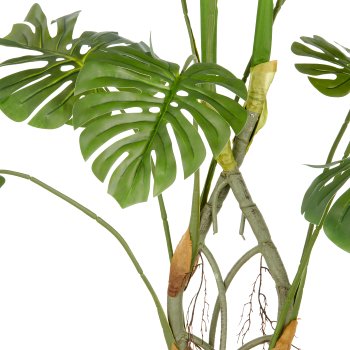 Split philodendron x10, approx. 120cm, green, plastic, in grey plastic pot 21.5x22cm