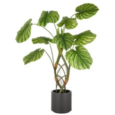 Philodendron mamei x10, ca. 120cm, grün, Kunststoff, im grauen Kunststofftopf
