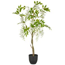 Wisteria x9, approx. 100cm, white, in plastic pot 16x15cm with soil