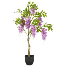 Wisteria x9, approx. 100cm, purple, in plastic pot 16x15cm with soil