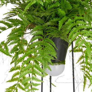 Dekostandleuchte Farnmix, ca. 60cm, grün, auf Metallgestell rund 30x14cm, LED, 1,5m Kabel