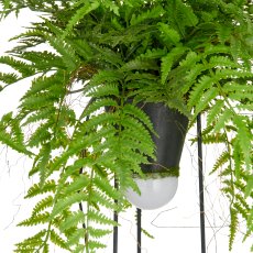 Dekostandleuchte Farnmix, ca. 60cm, grün, auf Metallgestell rund 30x14cm, LED, 1,5m Kabel