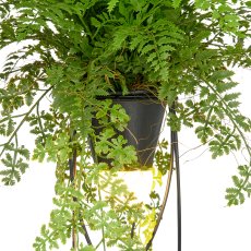 Dekostandleuchte Farnmix, ca. 60cm, grün, auf Metallgestell quadr. 30x12,5cm, LED, 1,5m