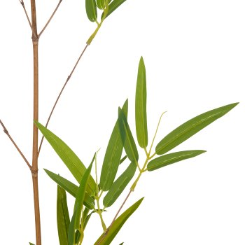 Bambus Dekozweig, 130cm, grün, PEVA
