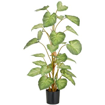 Syngonium, 29 leaves, 90cm, green, in plastic pot 12.5x11.5cm