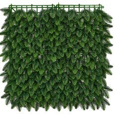 monstera deliciosa split leaf philodendron Monstera Deliciosa (Split Leaf Philodendron) main image 0