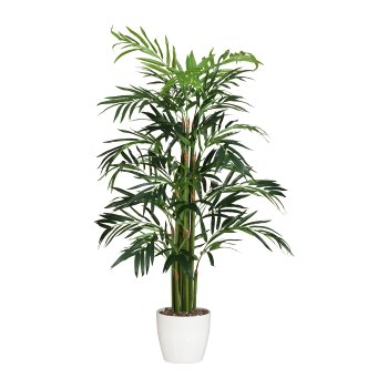 Bamboo Palm, ca. 100cm, Real Touch, In Pot, black
