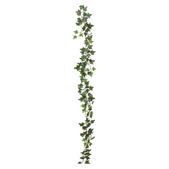 Efeugirlande x168 Bl.,, 180cm, grün