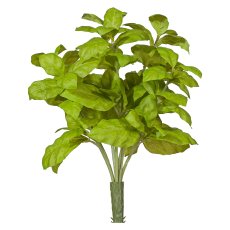 Basilikumbusch x7 ca 28cm, 84 Blätter, grün