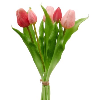 Tulpenbund x5, 31cm, rosa-pink