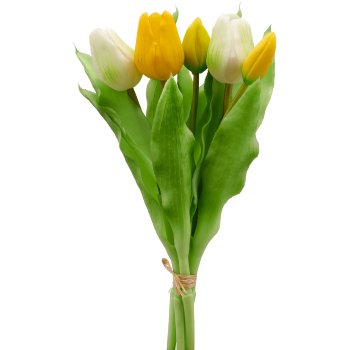 Tulpenbund x5, 31cm, gelb-weiß