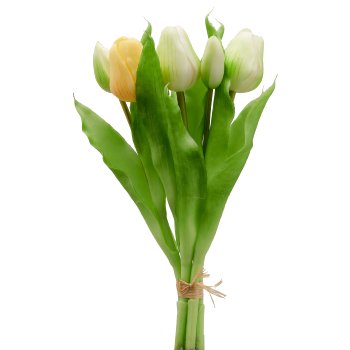 Tulip bunch x5, 31cm, white-yellow