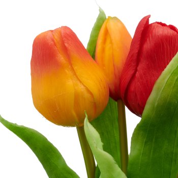 Tulpenbund x5, 31cm, orange-rot