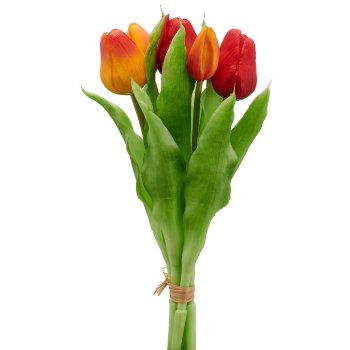 Tulpenbund x5, 31cm, orange-rot