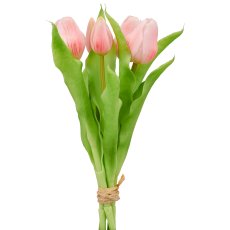 Tulip bunch x5, 31cm, pale pink