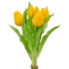 Tulip bunch x5, 31cm, yellow