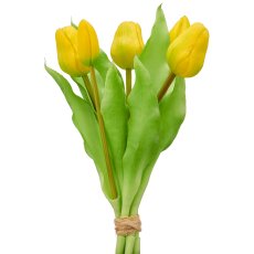 Tulip bunch x5, 31cm, lime