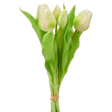 Tulip bunch x5, 31cm, white